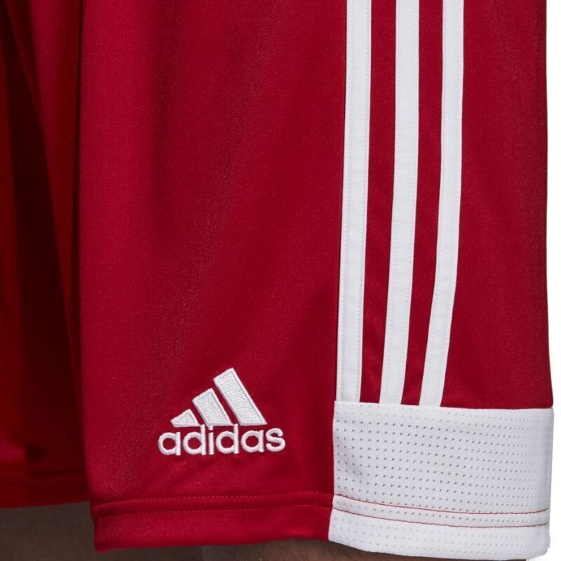 Meeste lühikesed püksid Adidas Tastigo 19 M DP3681, punased цена и информация | Spordiriided meestele | hansapost.ee