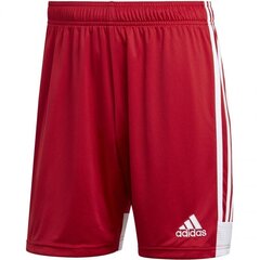 Meeste lühikesed püksid Adidas Tastigo 19 M DP3681, punased hind ja info | Adidas Riided meestele | hansapost.ee