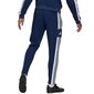 Meeste spordipüksid Adidas Squadra 21 Sweat Pant M GT6643, sinine цена и информация | Spordiriided meestele | hansapost.ee