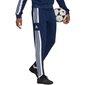 Meeste spordipüksid Adidas Squadra 21 Sweat Pant M GT6643, sinine цена и информация | Spordiriided meestele | hansapost.ee