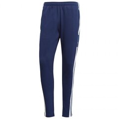 Мужские спортивные штаны Adidas Squadra 21 Sweat Pant M GT6643, синие цена и информация | Мужская спортивная одежда | hansapost.ee