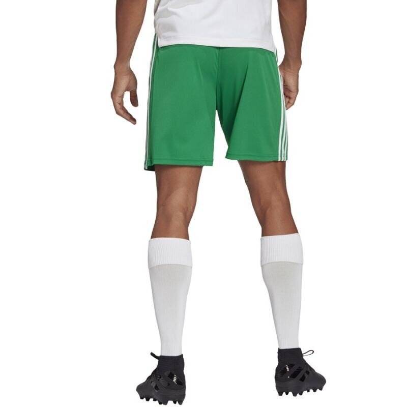 Meeste spordipüksid Adidas Squadra 21 Short M GN5769, roheline hind ja info | Spordiriided meestele | hansapost.ee