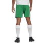 Meeste spordipüksid Adidas Squadra 21 Short M GN5769, roheline hind ja info | Spordiriided meestele | hansapost.ee
