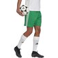 Meeste spordipüksid Adidas Squadra 21 Short M GN5769, roheline цена и информация | Spordiriided meestele | hansapost.ee