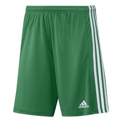 Meeste spordipüksid Adidas Squadra 21 Short M GN5769, roheline hind ja info | Spordiriided meestele | hansapost.ee