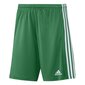 Meeste spordipüksid Adidas Squadra 21 Short M GN5769, roheline цена и информация | Spordiriided meestele | hansapost.ee