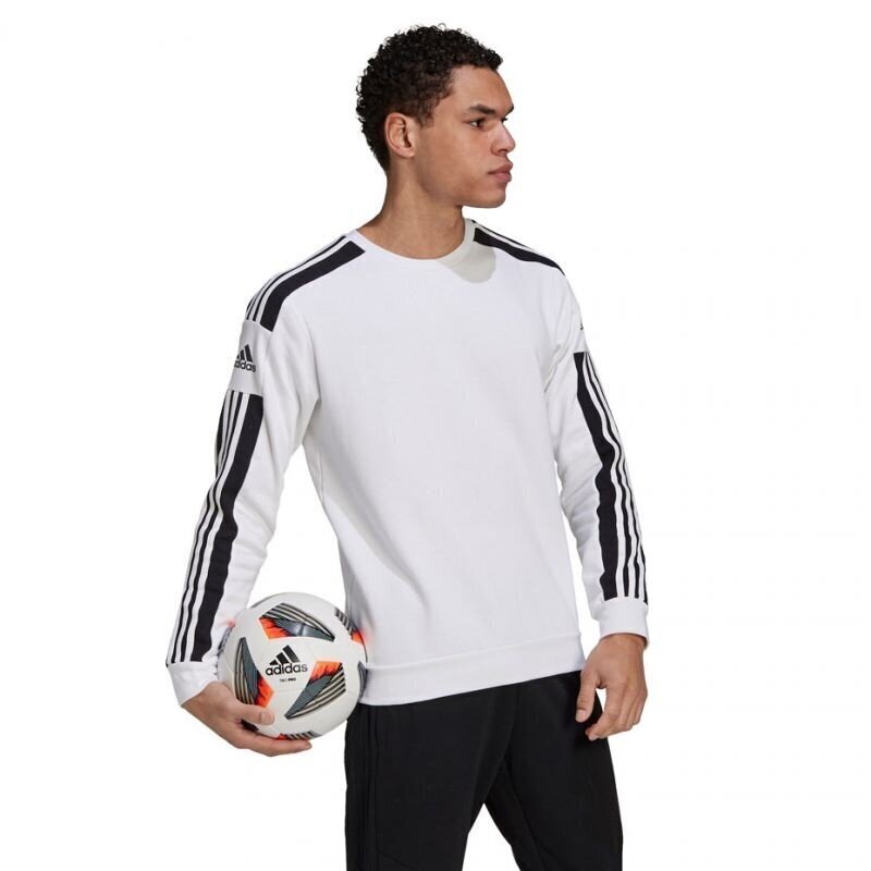 Meeste treeningsärk Adidas Squadra 21 Sweat Top, M GT6641, valge hind ja info | Spordiriided meestele | hansapost.ee