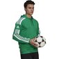 Meeste sportlik džemper Adidas Squadra 21 Hoody M GP6437, roheline hind ja info | Spordiriided meestele | hansapost.ee