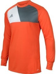 Мужская футболка Adidas Assita 17 AZ5398, красная цена и информация | Мужские футболки | hansapost.ee