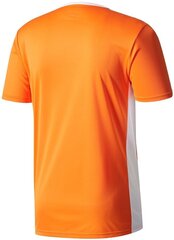 Meeste T-särk Adidas Entrada 18 JSY CD8366, oranž hind ja info | T-särgid meestele | hansapost.ee
