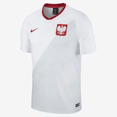 Meeste T-särk Nike Polski FTBL Top SS Home, valge hind ja info | T-särgid meestele | hansapost.ee