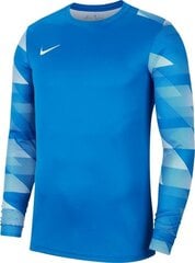 Мужская футболка Nike, DX2032*437, тёмно-синяя, 196152836274 цена и информация | Nike Для мужчин | hansapost.ee