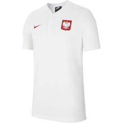 Nike футболка мужская Modern GSP AUT, белая цена и информация | Мужские футболки | hansapost.ee