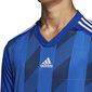 T-särk meestele Adidas Striped 19 Jersey M DP3200, sinine цена и информация | T-särgid meestele | hansapost.ee