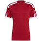 Meeste T-särk Adidas Squadra 21 JSY M GN5722, punane hind ja info | T-särgid meestele | hansapost.ee