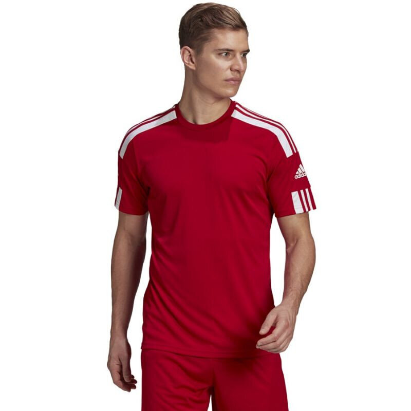 Meeste T-särk Adidas Squadra 21 JSY M GN5722, punane цена и информация | T-särgid meestele | hansapost.ee