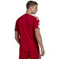 Meeste T-särk Adidas Squadra 21 JSY M GN5722, punane цена и информация | T-särgid meestele | hansapost.ee