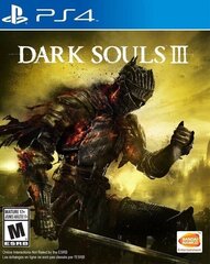 PlayStation 4 Mäng Dark Souls III hind ja info | Konsooli- ja arvutimängud | hansapost.ee