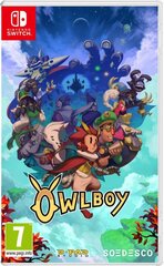 Owlboy hind ja info | Konsooli- ja arvutimängud | hansapost.ee