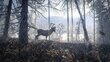 The Hunter: Call of the Wild 2019 Edition hind ja info | Konsooli- ja arvutimängud | hansapost.ee