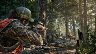 Far Cry 5 (PS4) hind ja info | Konsooli- ja arvutimängud | hansapost.ee