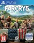Far Cry 5 (PS4) цена и информация | Konsooli- ja arvutimängud | hansapost.ee