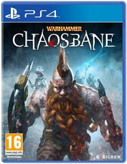 PlayStation 4 Mäng Warhammer: Chaosbane цена и информация | Big Ben Компьютерная техника | hansapost.ee