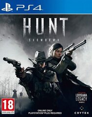 PS4 Hunt: Showdown hind ja info | Deep Silver Arvutid ja IT- tehnika | hansapost.ee