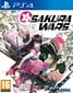 PS4 Sakura Wars hind ja info | Konsooli- ja arvutimängud | hansapost.ee