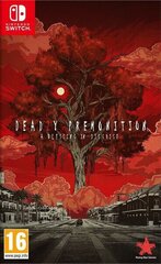 Deadly Premonition 2: A Blessing in Disguise NSW цена и информация | Компьютерные игры | hansapost.ee