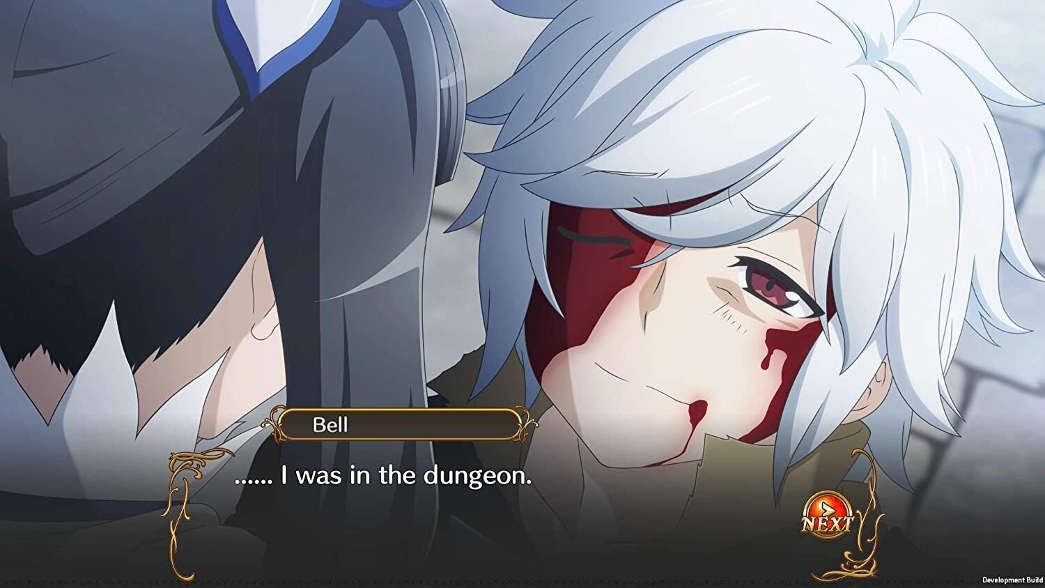 Is It Wrong To Try To Pick Up Girls in A Dungeon? Infinite Combate PS4 цена и информация | Konsooli- ja arvutimängud | hansapost.ee