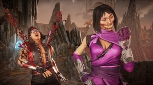 Xbox One / Series X/S mäng Mortal Kombat 11 Ultimate цена и информация | Компьютерные игры | hansapost.ee