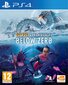 PlayStation 4 mäng Subnautica: Below Zero hind ja info | Konsooli- ja arvutimängud | hansapost.ee