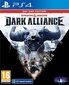 PlayStation4 mäng Dungeons and Dragons: Dark Alliance (Day One Edition) цена и информация | Konsooli- ja arvutimängud | hansapost.ee