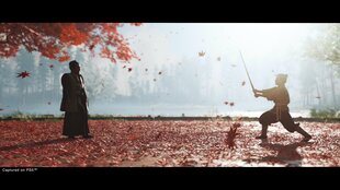 Игра Ghost of Tsushima Director's Cut для PlayStation 5 цена и информация | Компьютерные игры | hansapost.ee