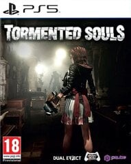 PlayStation 5 mäng Tormented Souls цена и информация | Компьютерные игры | hansapost.ee