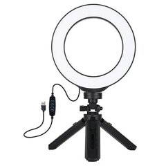LED rõngalamp 16 cm, statiivi alusega 12-14.5 cm, USB hind ja info | Fotovalgustid, ringvalgustid ja fotostuudiod | hansapost.ee