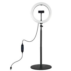 LED rõngaslamp 26cm, koos alusega 25,5-140,7cm, USB hind ja info | Fotovalgustid, ringvalgustid ja fotostuudiod | hansapost.ee