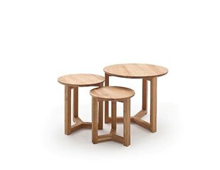 3 laua komplekt Faye, pruun hind ja info | Diivanilauad | hansapost.ee