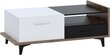 Kohvilaud Meblocross Box 03 2D2S, pruun/valge hind ja info | Diivanilauad | hansapost.ee
