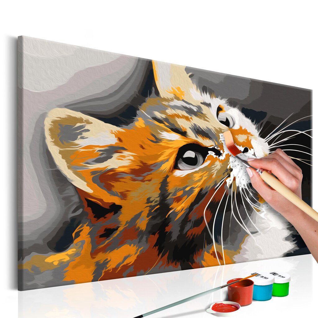 Maalimine numbrite järgi Red Cat 60x40 cm цена и информация | Maalimiskomplektid numbrite järgi | hansapost.ee