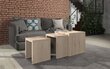 3-laua komplekt ADRK Furniture Basel, tamme värvi цена и информация | Diivanilauad | hansapost.ee