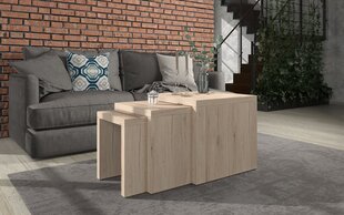 Комплект из 3-х столов ADRK Furniture Basel, цвет дуба цена и информация | Журнальные столики | hansapost.ee