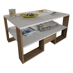 Кофейный столик Golden, белый/коричневый цена и информация | Журнальные столики | hansapost.ee