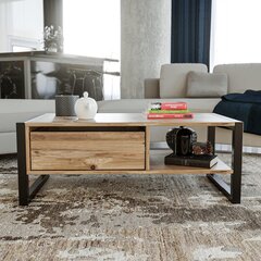 Diivanilaud Haldizen, pruun price and information | Coffee tables | hansapost.ee