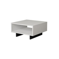 Кофейный столик Kalune Design 855, белый/серый цена и информация | Журнальные столики | hansapost.ee