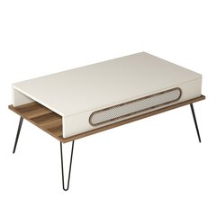 Кофейный столик Kalune Design 845, белый/коричневый цена и информация | Журнальные столики | hansapost.ee