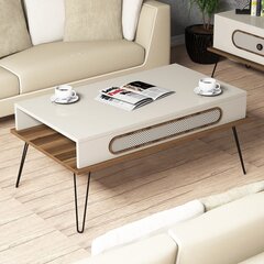 Diivanilaud Kalune Design 845, valge/pruun price and information | Coffee tables | hansapost.ee