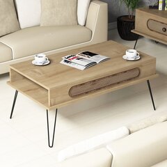 Кофейный столик Kalune Design 845, светло-коричневый цена и информация | Журнальные столики | hansapost.ee