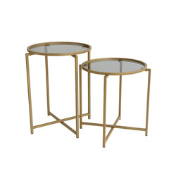 2-laua komplekt Kalune Design S406, kuldset värvi hind ja info | Diivanilauad | hansapost.ee
